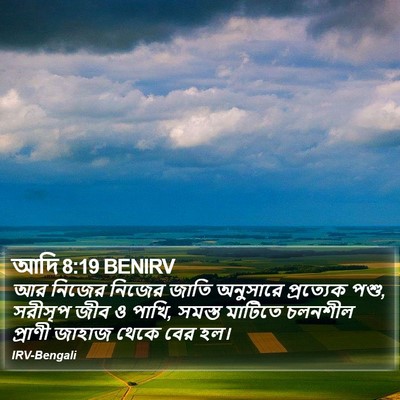 আদি 8:19 BENIRV Bible Verse Image