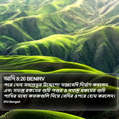 আদি 8:20 BENIRV Bible Verse Image
