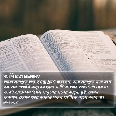 আদি 8:21 BENIRV Bible Verse Image
