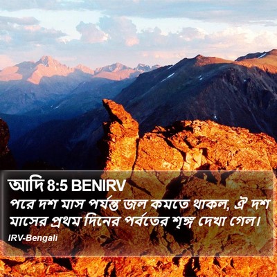 আদি 8:5 BENIRV Bible Verse Image