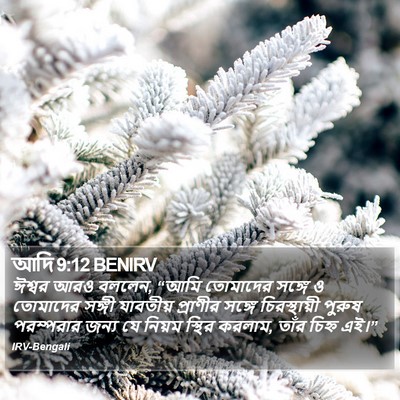 আদি 9:12 BENIRV Bible Verse Image