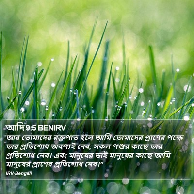 আদি 9:5 BENIRV Bible Verse Image