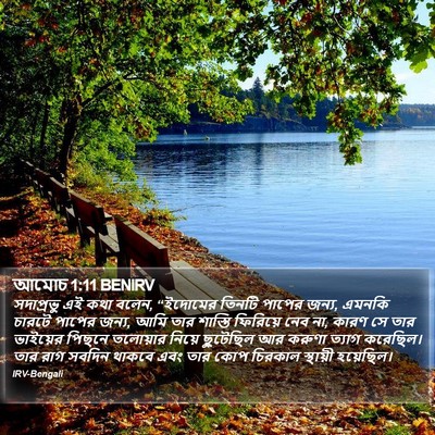 আমোচ 1:11 BENIRV Bible Verse Image