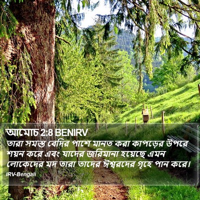 আমোচ 2:8 BENIRV Bible Verse Image