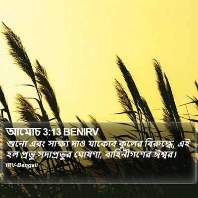 আমোচ 3:13 BENIRV Bible Verse Image