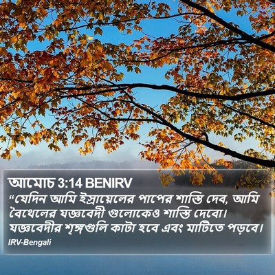 আমোচ 3:14 BENIRV Bible Verse Image