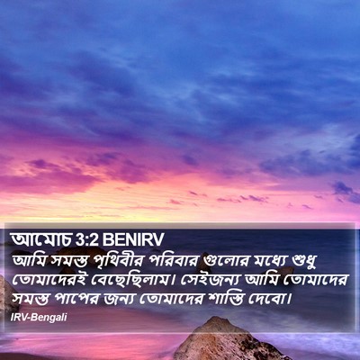 আমোচ 3:2 BENIRV Bible Verse Image