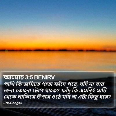 আমোচ 3:5 BENIRV Bible Verse Image