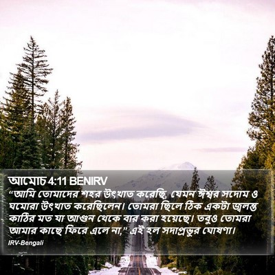 আমোচ 4:11 BENIRV Bible Verse Image