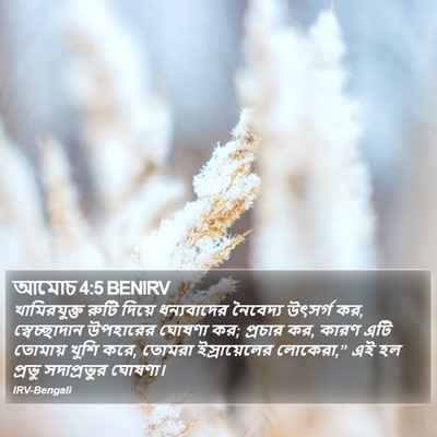 আমোচ 4:5 BENIRV Bible Verse Image