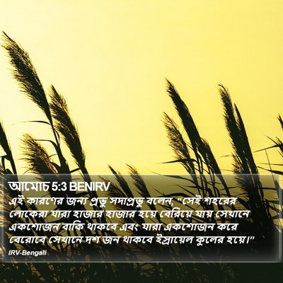 আমোচ 5:3 BENIRV Bible Verse Image