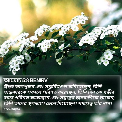 আমোচ 5:8 BENIRV Bible Verse Image