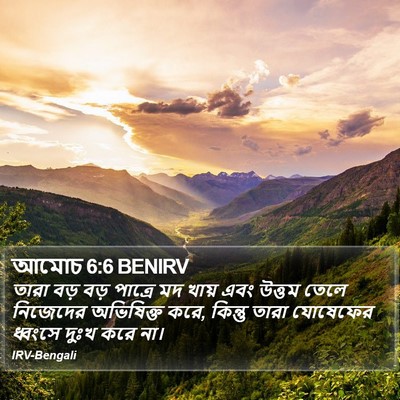 আমোচ 6:6 BENIRV Bible Verse Image