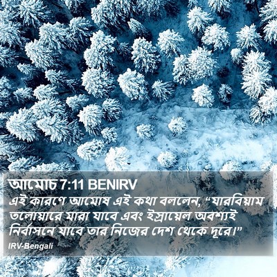 আমোচ 7:11 BENIRV Bible Verse Image