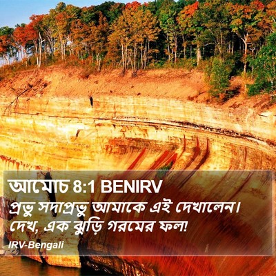 আমোচ 8:1 BENIRV Bible Verse Image
