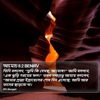 আমোচ 8:2 BENIRV Bible Verse Image