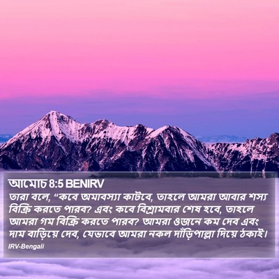 আমোচ 8:5 BENIRV Bible Verse Image