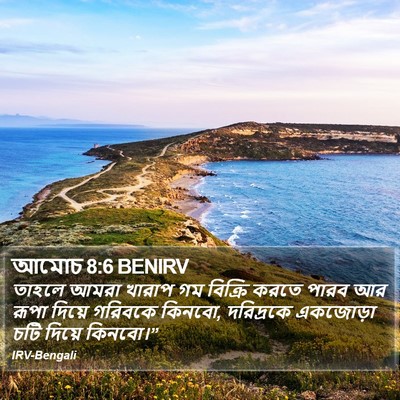 আমোচ 8:6 BENIRV Bible Verse Image