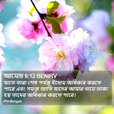 আমোচ 9:12 BENIRV Bible Verse Image