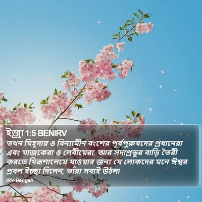 ইজ্ৰা 1:5 BENIRV Bible Verse Image