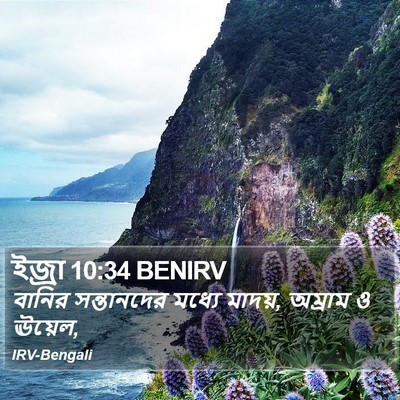 ইজ্ৰা 10:34 BENIRV Bible Verse Image