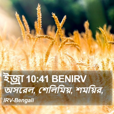 ইজ্ৰা 10:41 BENIRV Bible Verse Image