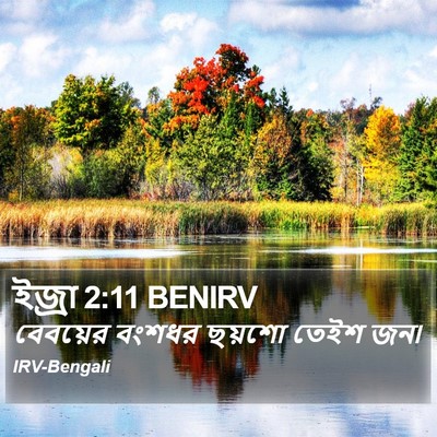 ইজ্ৰা 2:11 BENIRV Bible Verse Image