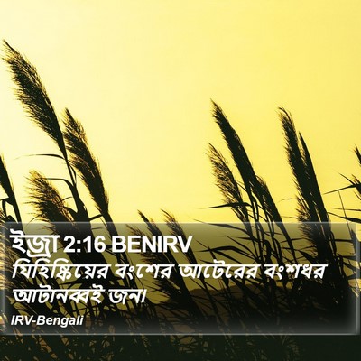 ইজ্ৰা 2:16 BENIRV Bible Verse Image