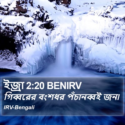 ইজ্ৰা 2:20 BENIRV Bible Verse Image