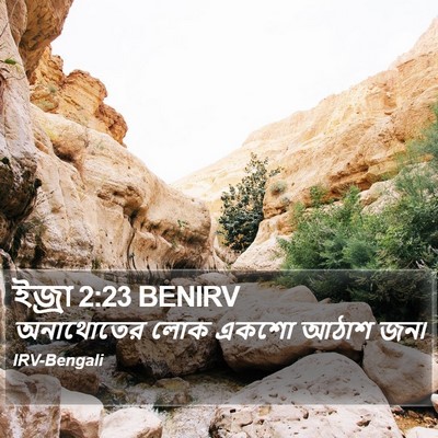 ইজ্ৰা 2:23 BENIRV Bible Verse Image