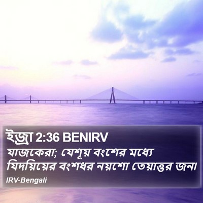 ইজ্ৰা 2:36 BENIRV Bible Verse Image