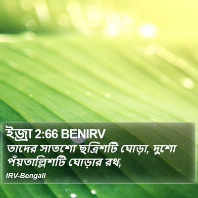 ইজ্ৰা 2:66 BENIRV Bible Verse Image