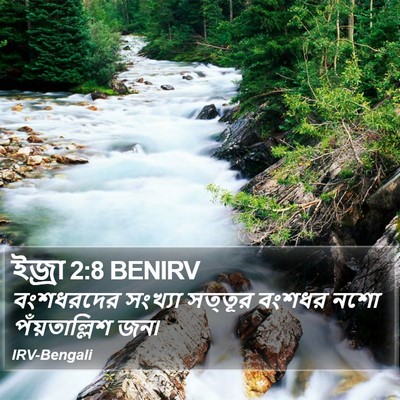 ইজ্ৰা 2:8 BENIRV Bible Verse Image