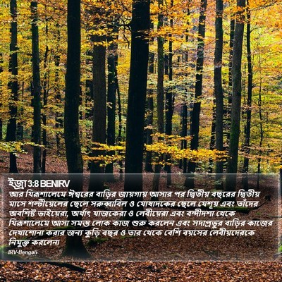 ইজ্ৰা 3:8 BENIRV Bible Verse Image