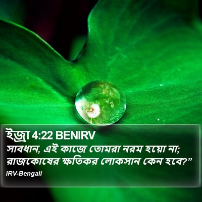 ইজ্ৰা 4:22 BENIRV Bible Verse Image
