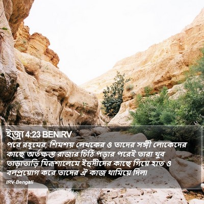 ইজ্ৰা 4:23 BENIRV Bible Verse Image