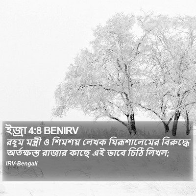 ইজ্ৰা 4:8 BENIRV Bible Verse Image