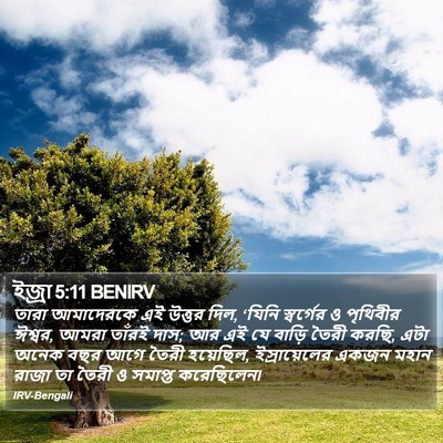 ইজ্ৰা 5:11 BENIRV Bible Verse Image