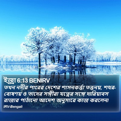 ইজ্ৰা 6:13 BENIRV Bible Verse Image