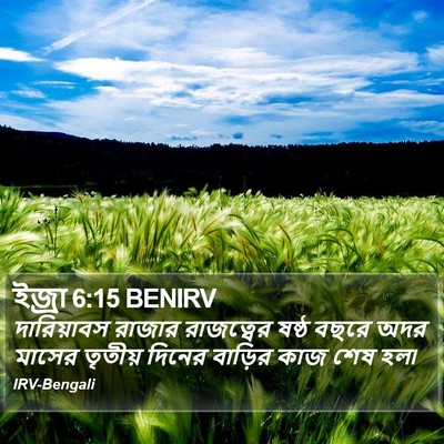 ইজ্ৰা 6:15 BENIRV Bible Verse Image