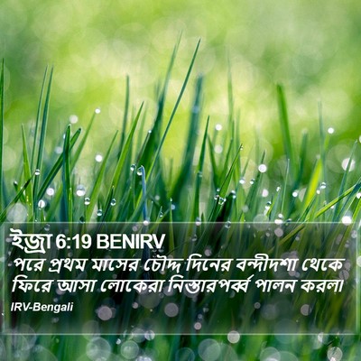ইজ্ৰা 6:19 BENIRV Bible Verse Image