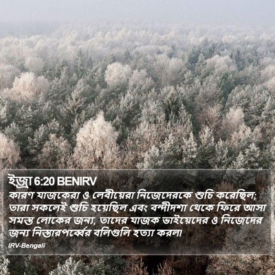 ইজ্ৰা 6:20 BENIRV Bible Verse Image