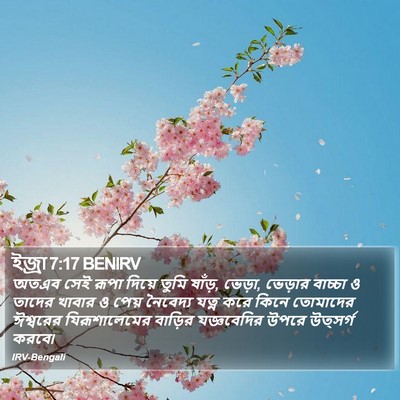 ইজ্ৰা 7:17 BENIRV Bible Verse Image