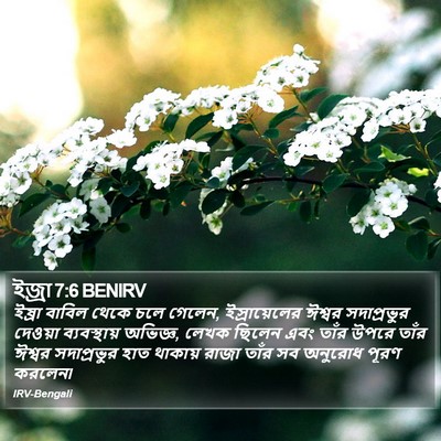 ইজ্ৰা 7:6 BENIRV Bible Verse Image