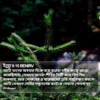 ইজ্ৰা 8:15 BENIRV Bible Verse Image