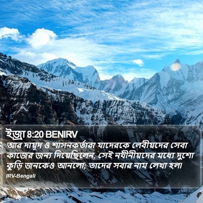 ইজ্ৰা 8:20 BENIRV Bible Verse Image