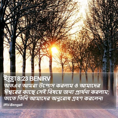 ইজ্ৰা 8:23 BENIRV Bible Verse Image