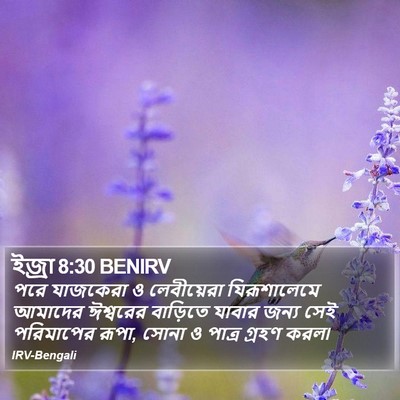 ইজ্ৰা 8:30 BENIRV Bible Verse Image