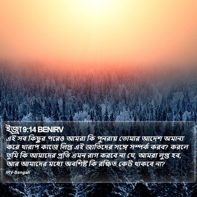 ইজ্ৰা 9:14 BENIRV Bible Verse Image
