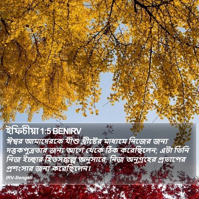 ইফিচীয়া 1:5 BENIRV Bible Verse Image